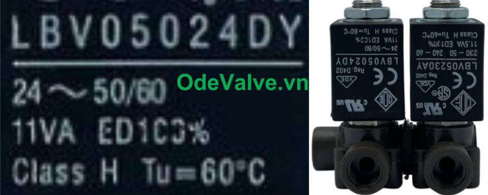 LBV05024DY